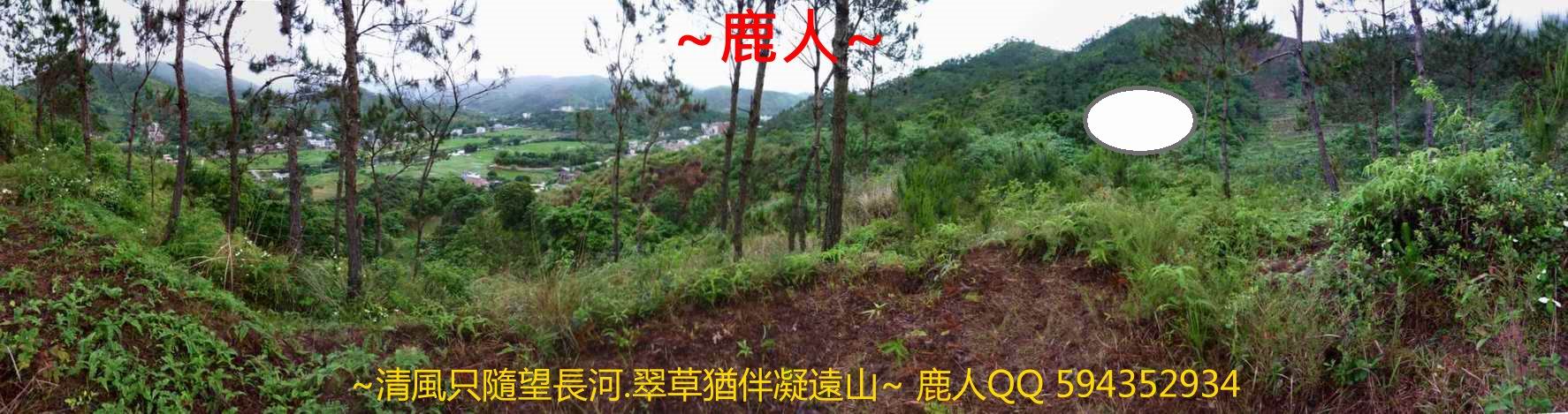 试试看.jpg