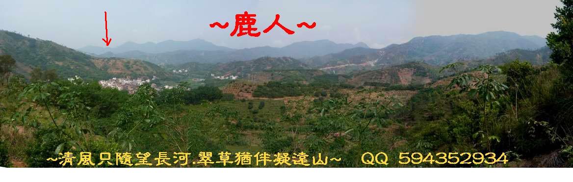 骑龙.JPG