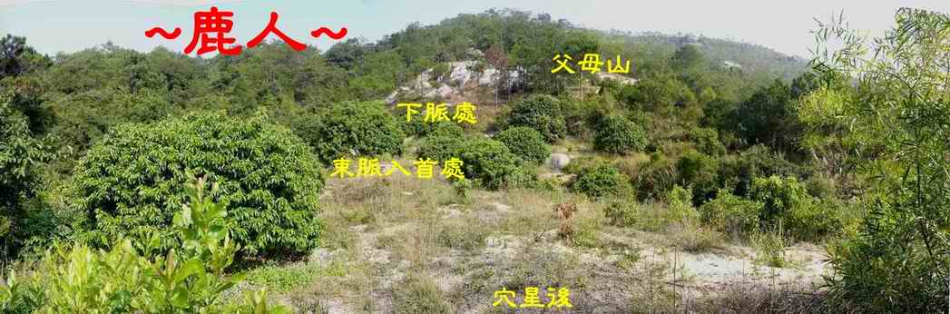 3靚穴_在穴後看父母山(土星)下脈入首照.JPG