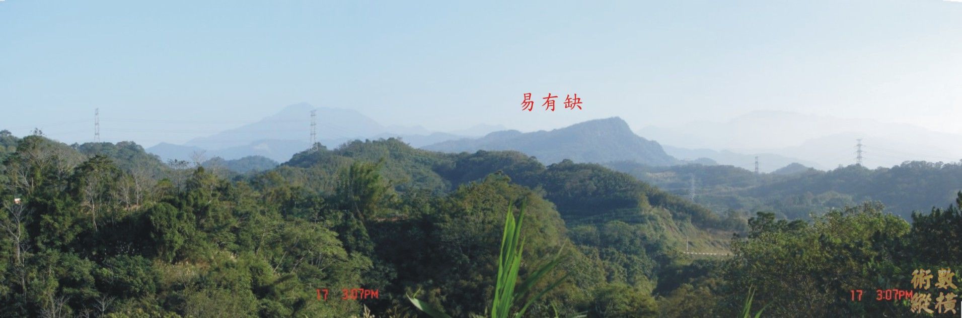M008W.jpg