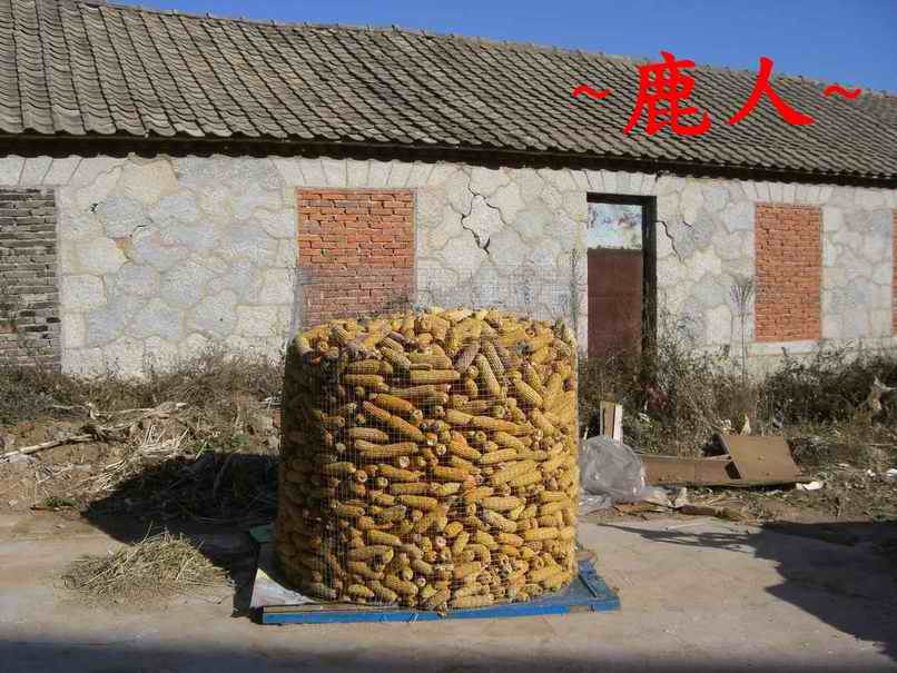 3冬季的存糧.JPG