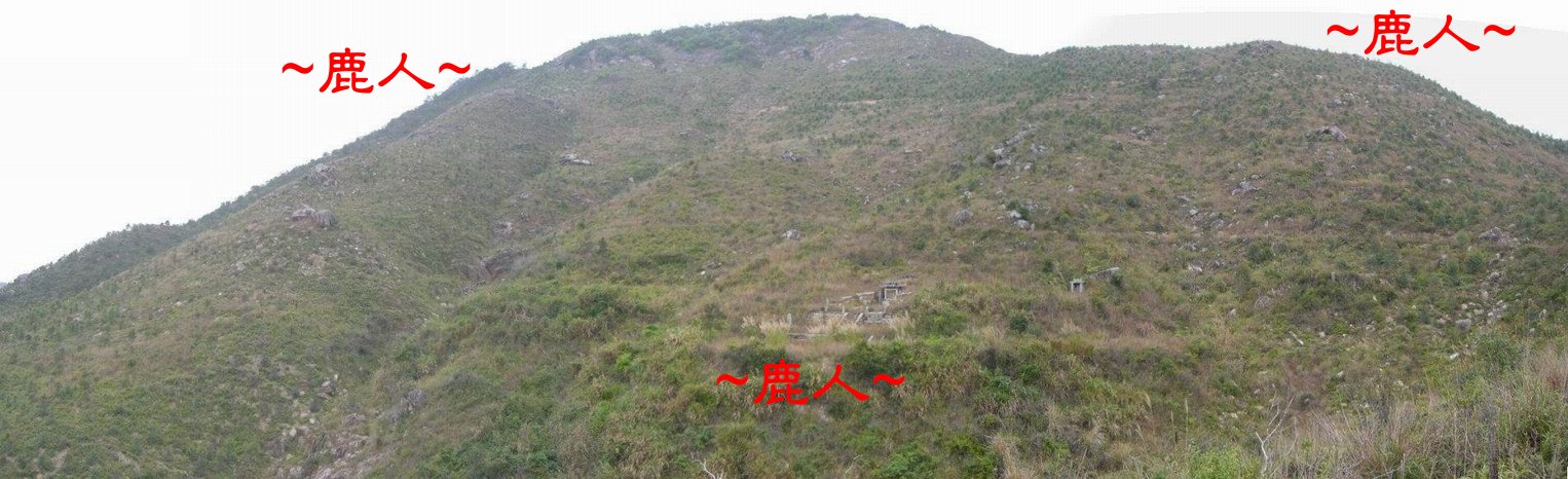 3在龍砂遠側看穴場照.JPG