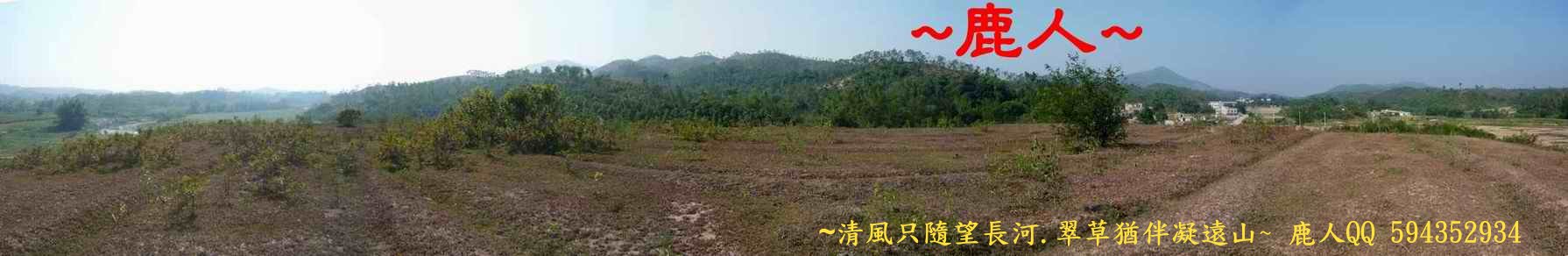 3在龜背上看來龍入首與出水(在穴左方).JPG