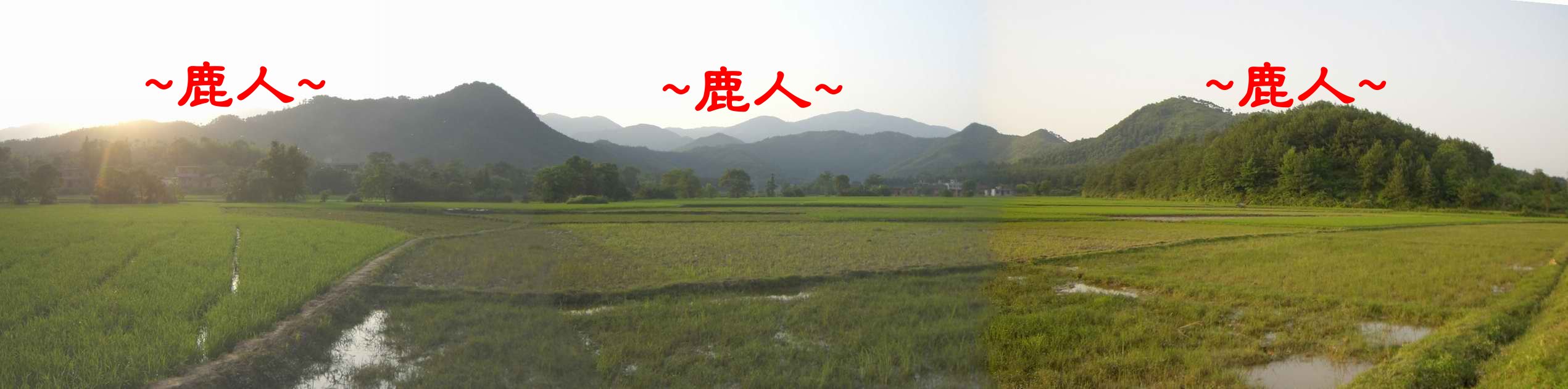 3朱權墓地 側看穴後行龍照(由左至右).JPG