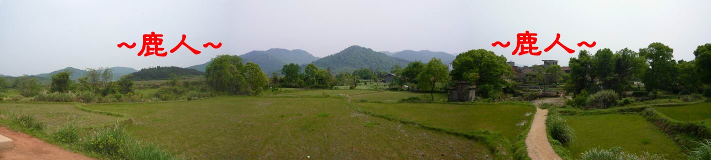 3為看看您(那山)我將走進一鄉間純樸小村.JPG