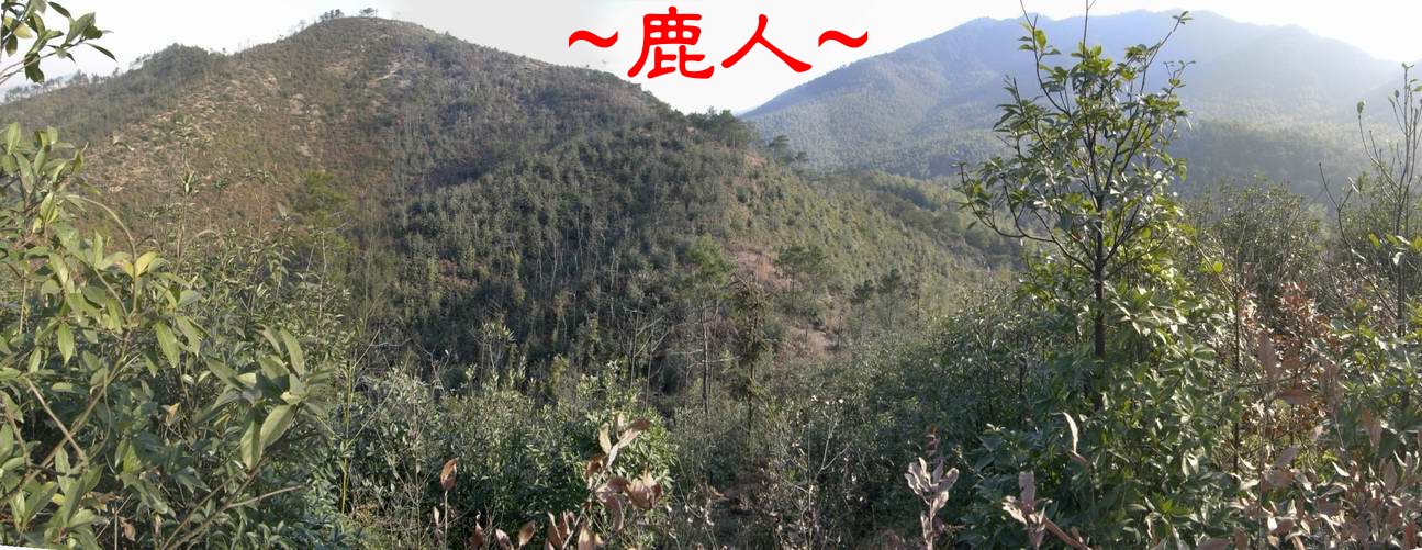 3看束脈過峽照.JPG