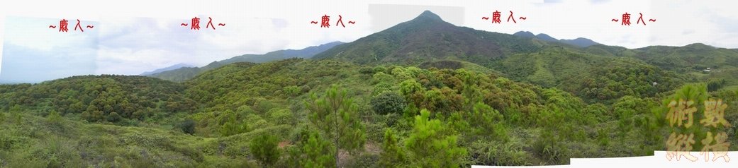 3複製 在入首近看父母山開帳下脈全照.JPG