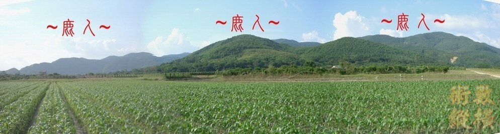 3複製 近看穴場照.JPG