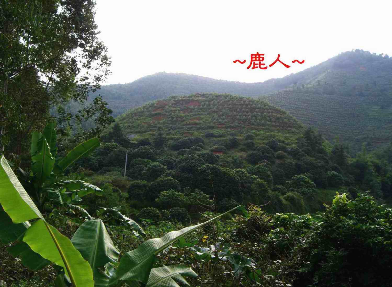3清晨出發  延途看山巒1.JPG