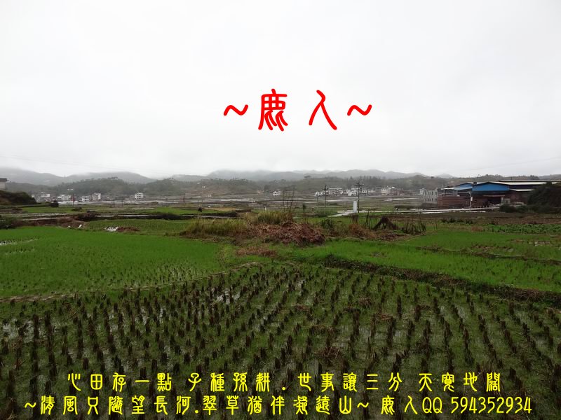 01穩座_04.JPG
