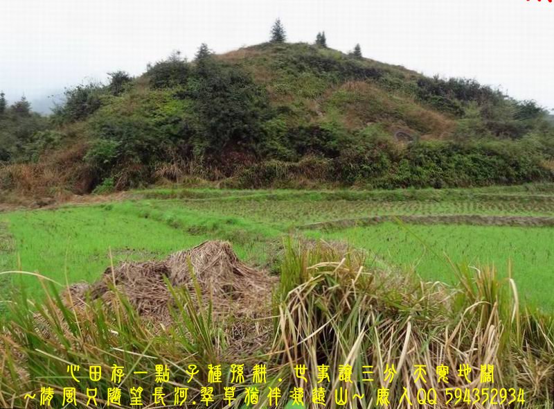 01穩座_05.JPG