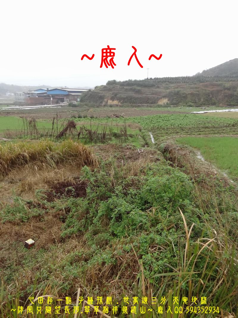 01穩座_07.JPG