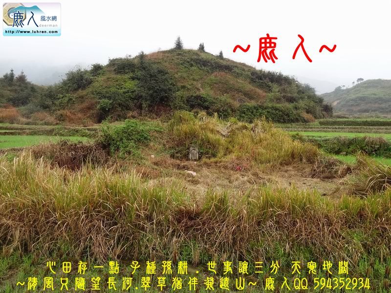 01穩座_09.JPG