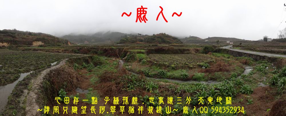 01穩座_10.JPG