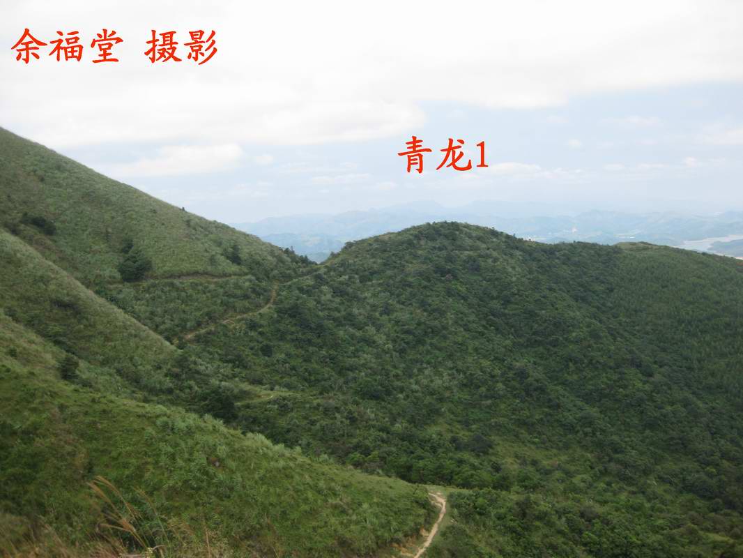 08青龙1.jpg