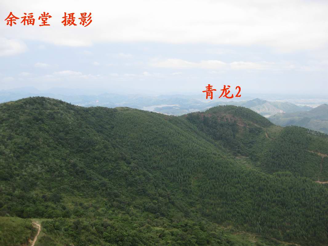 09青龙2.jpg