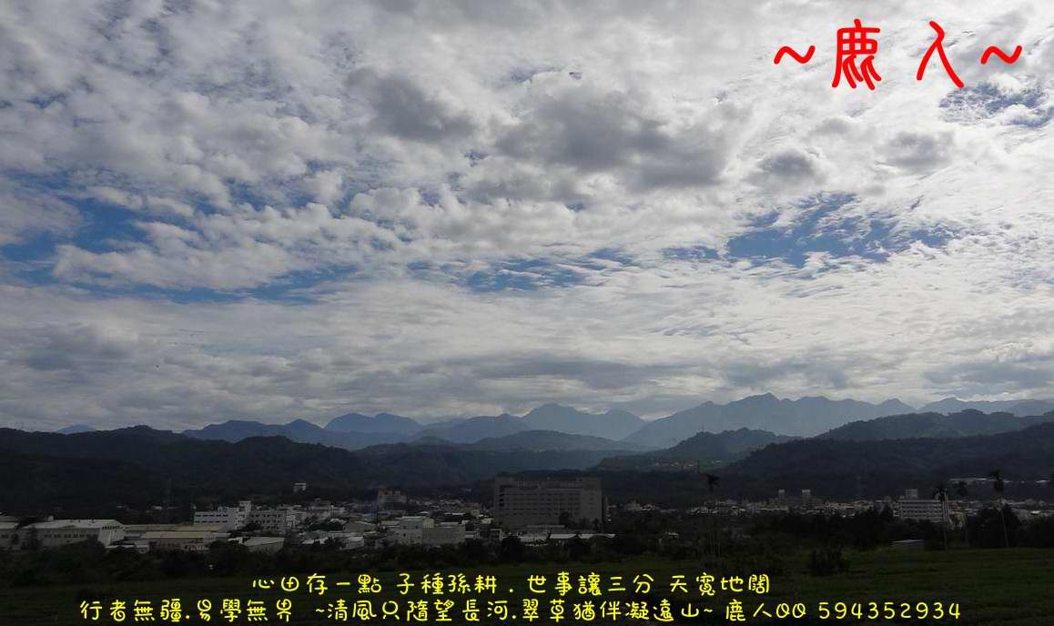 0老鹿遙望故鄉_888.JPG