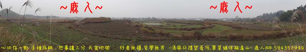 0抱緊緊_02.JPG