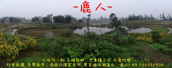 0長江小隻蟹.jpg