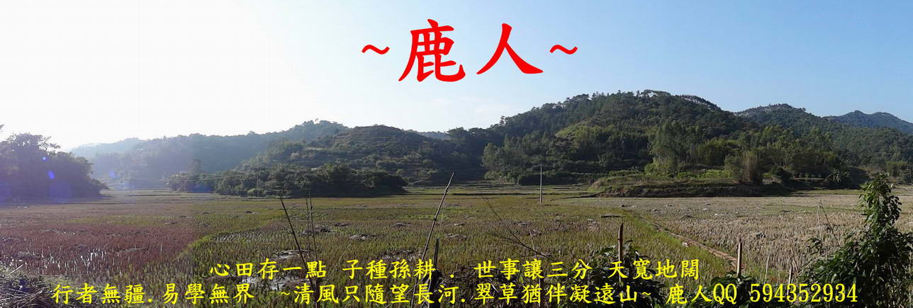 0彎延行_不是蛇_01.jpg