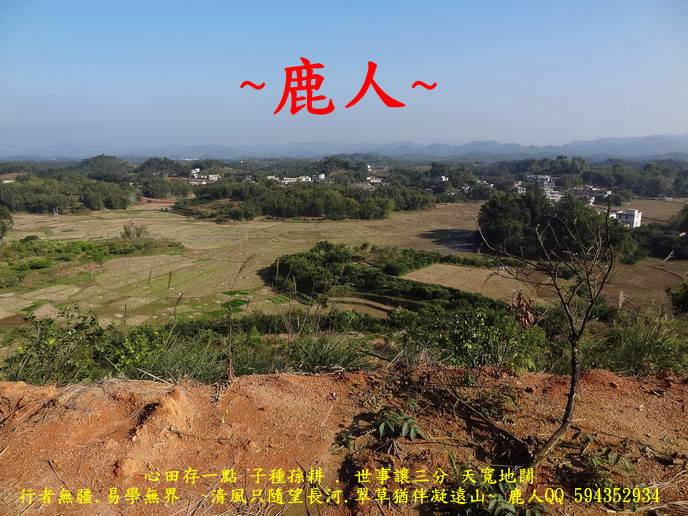 0彎延行_不是蛇_03.JPG