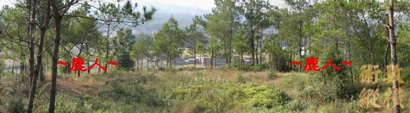 1 在墓頂 看穴場唇與窩.jpg