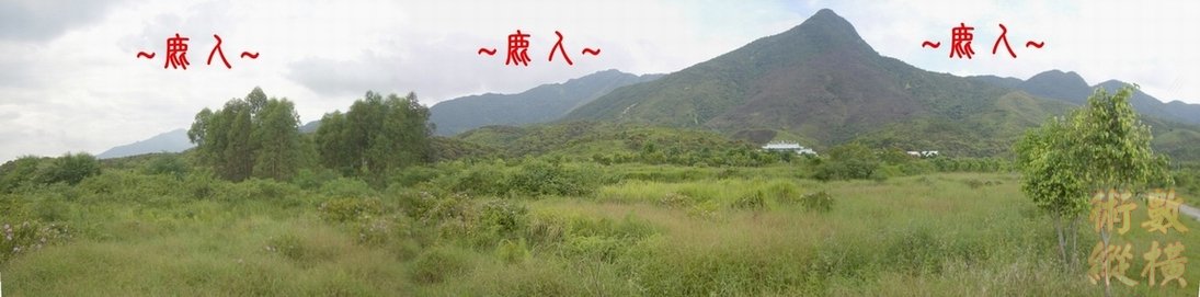 10複製 遠看父母山開帳下脈與穴場全景.JPG