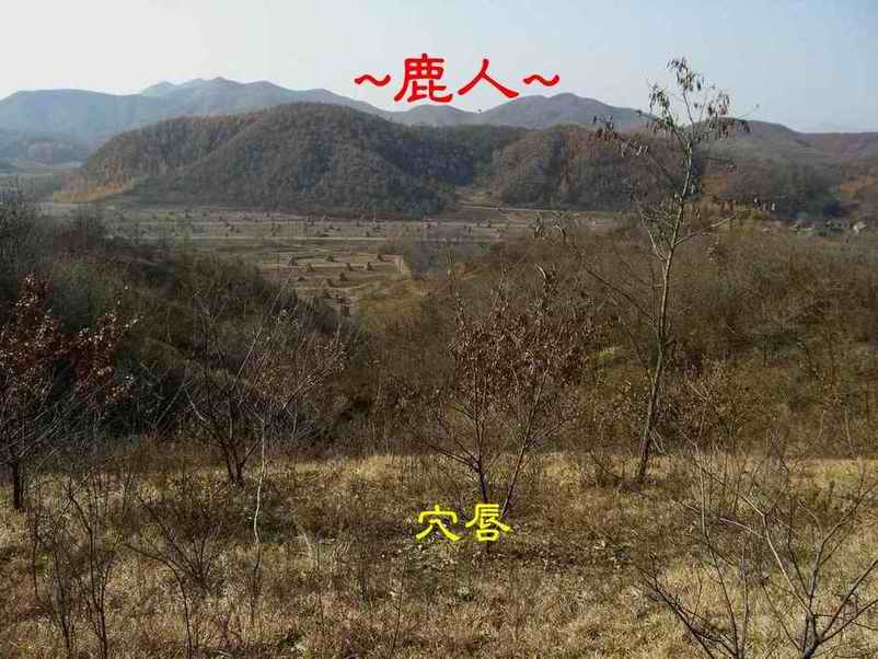 10穴唇與朝堂照.JPG