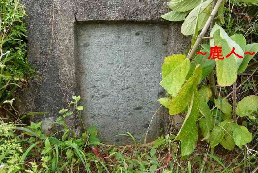 10穴星頂下的古墓(清咸豐辛亥年重修).JPG