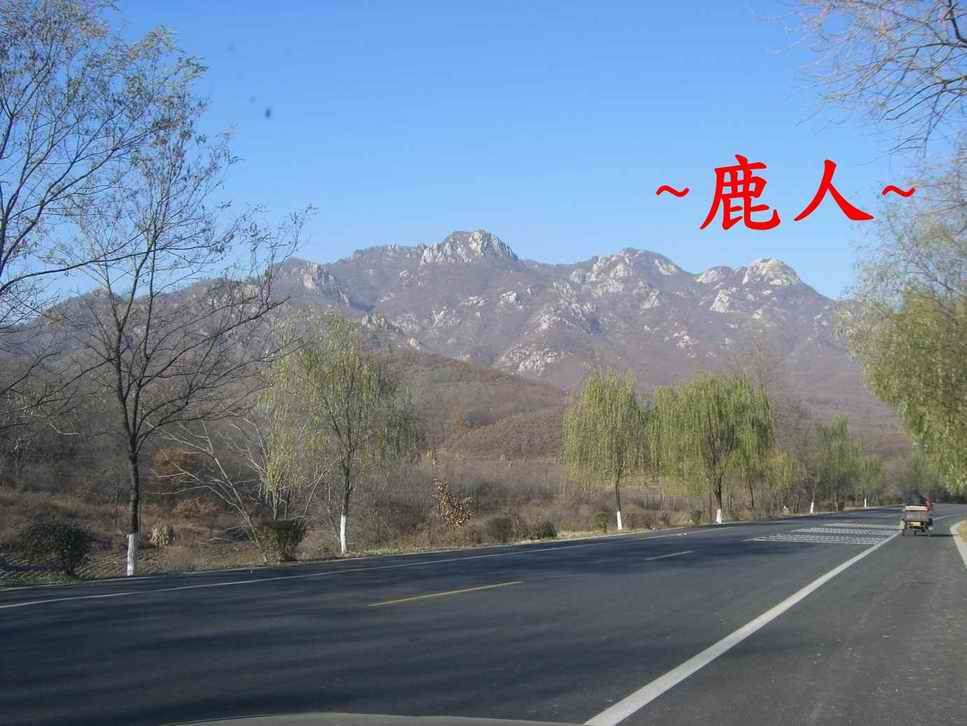 10延途拍.JPG