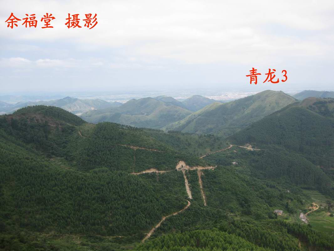 10青龙3.jpg