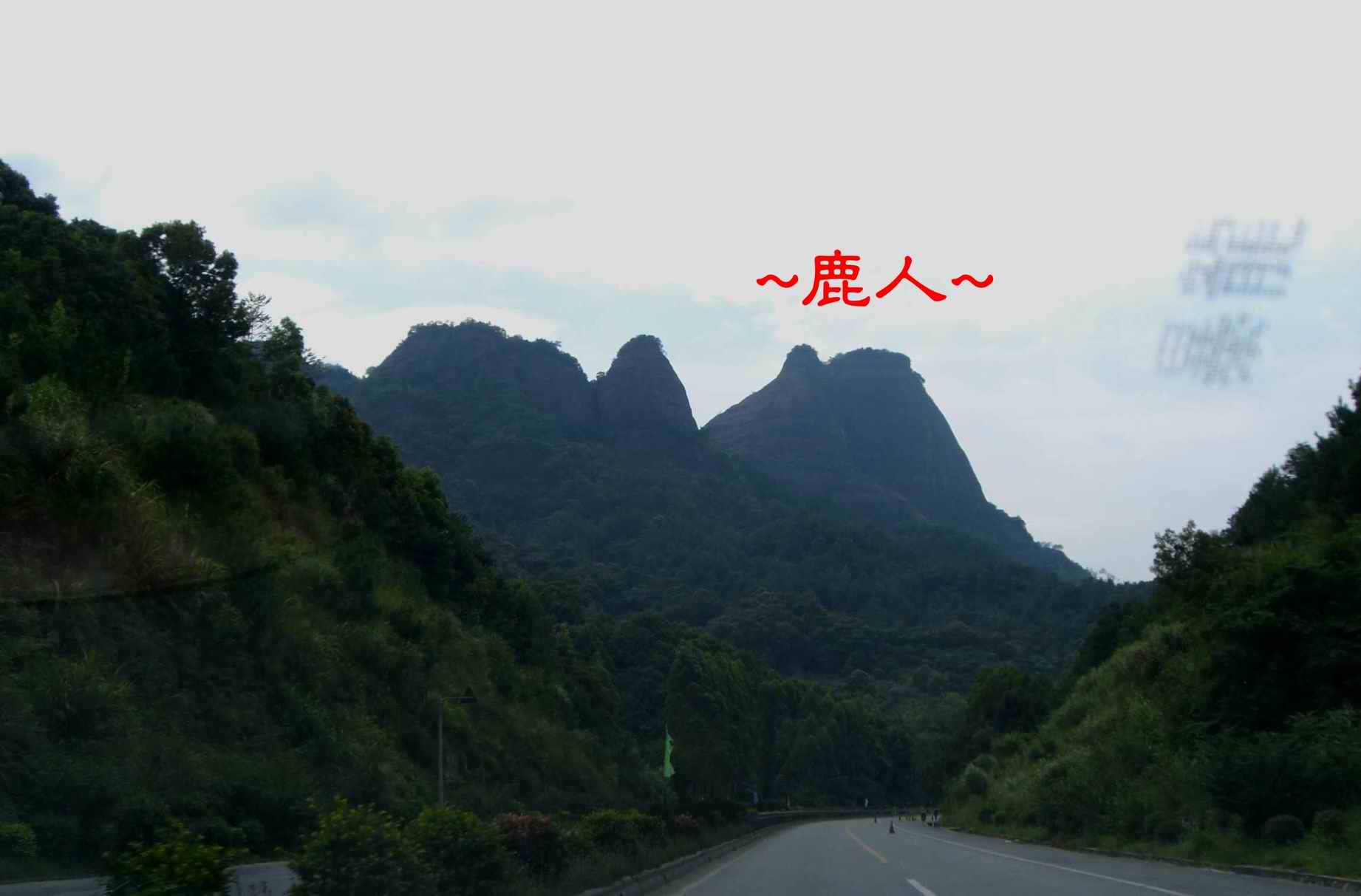 10看到都礄山1.JPG