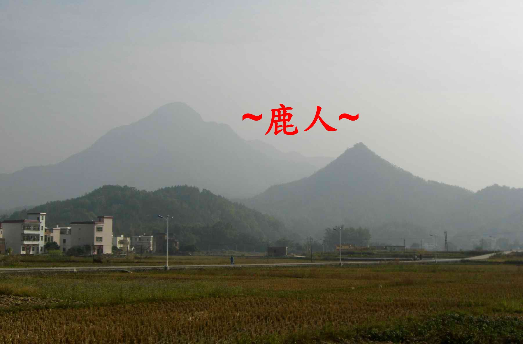 10靚山-6766.JPG