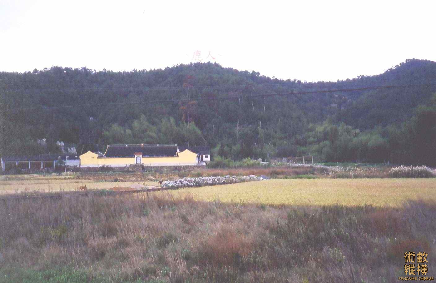 111(B)_2.jpg