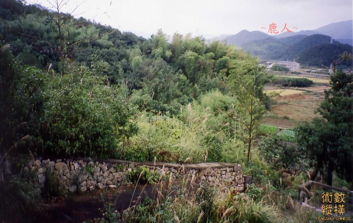 111(B)_5.jpg