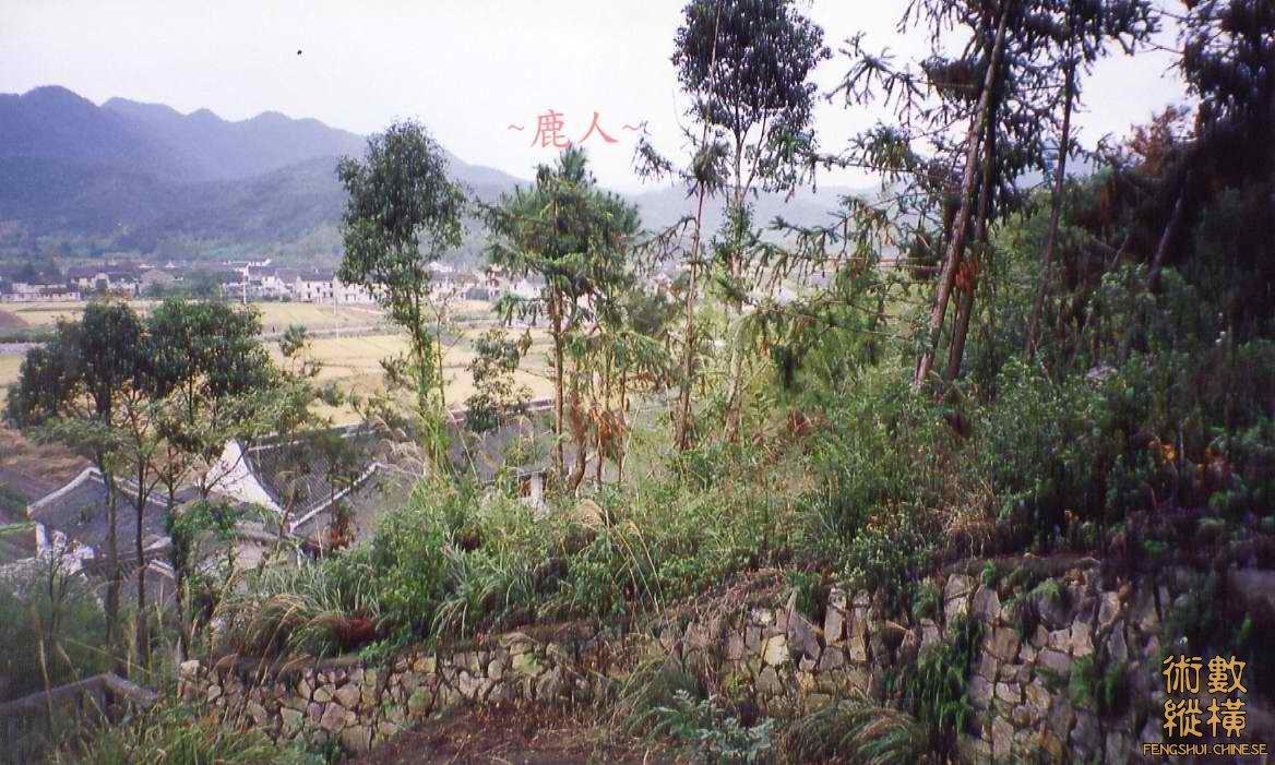 111(B)_6.jpg