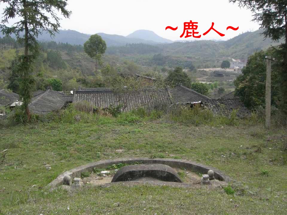 11朝堂照.JPG