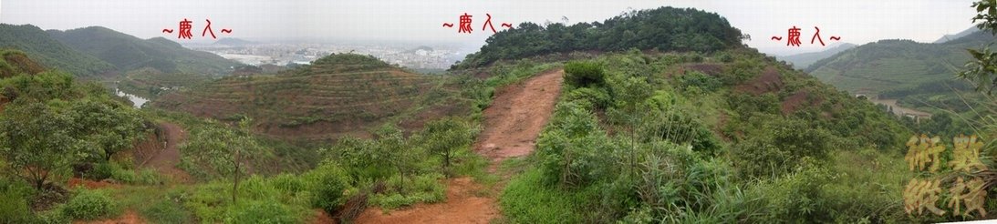 11複製 看落脈行龍一段全景.JPG