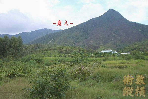 11複製 遠看父母山與穴場全景.jpg