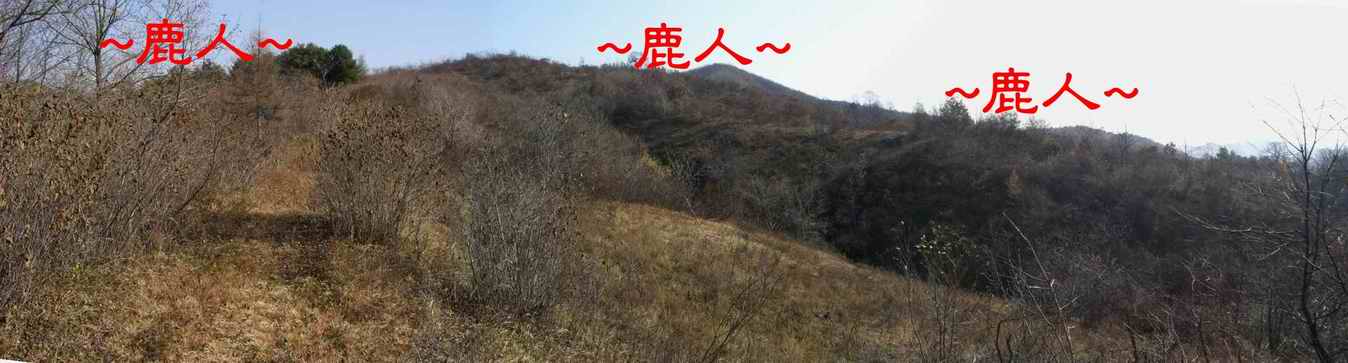 11由虎砂側看穴場照.JPG