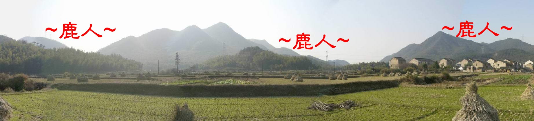 11在案山看穴場照.JPG