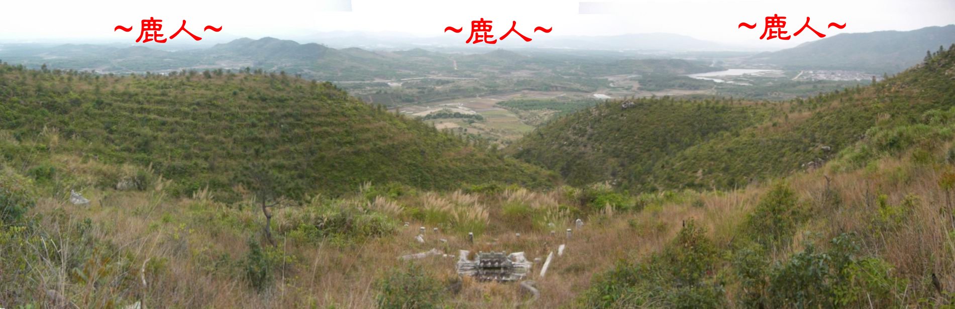11在穴頂高點看龍虎砂與堂局照.JPG