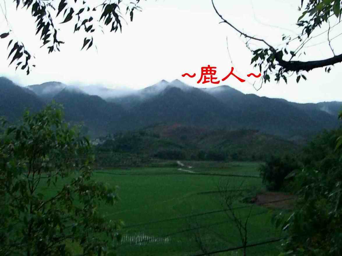 11雨後黃昏看山_359.JPG