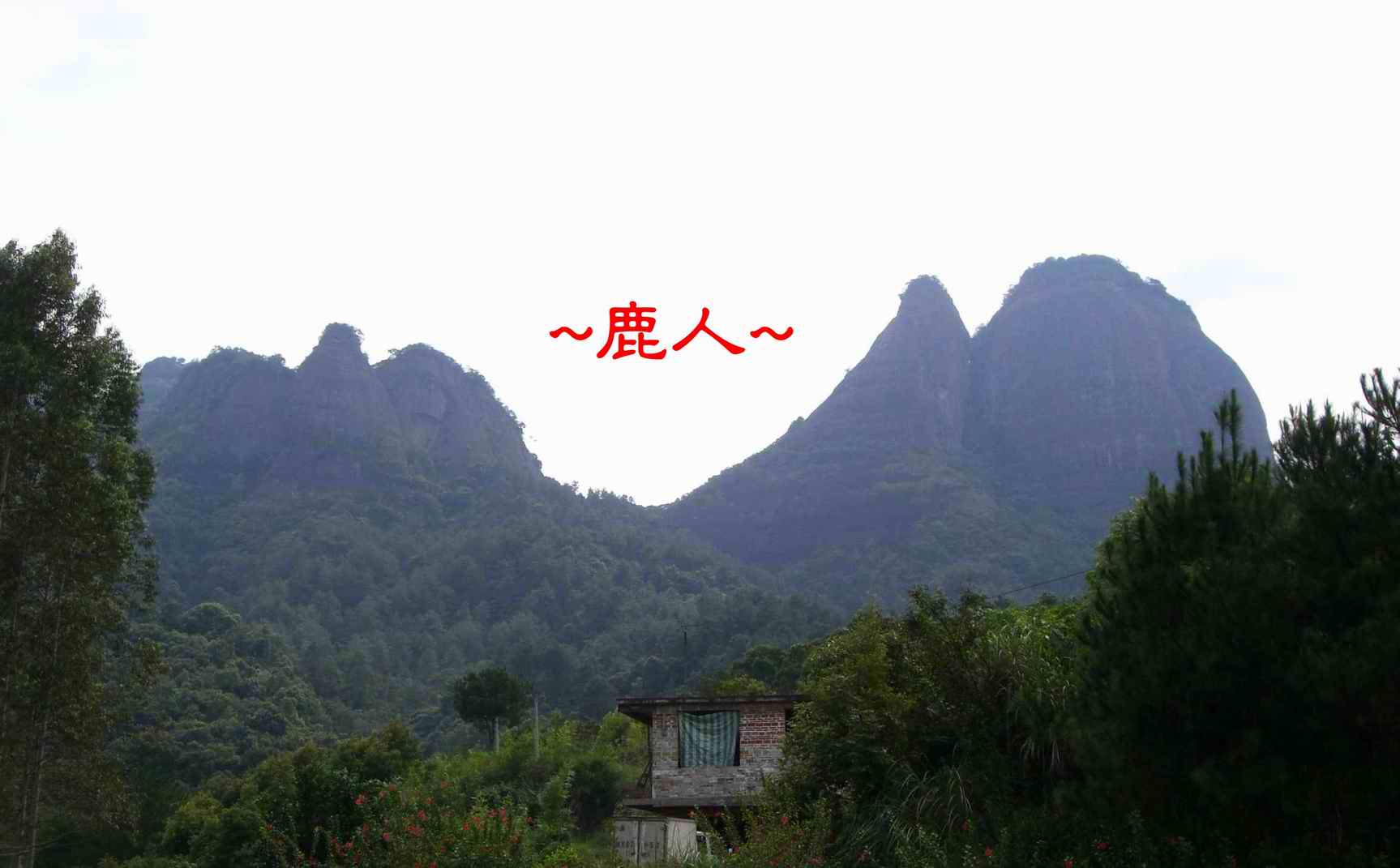 11看到都礄山2.JPG