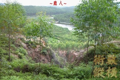12複製 龍身遭斷1.jpg