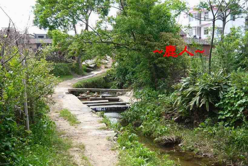 12小水灣灣.JPG