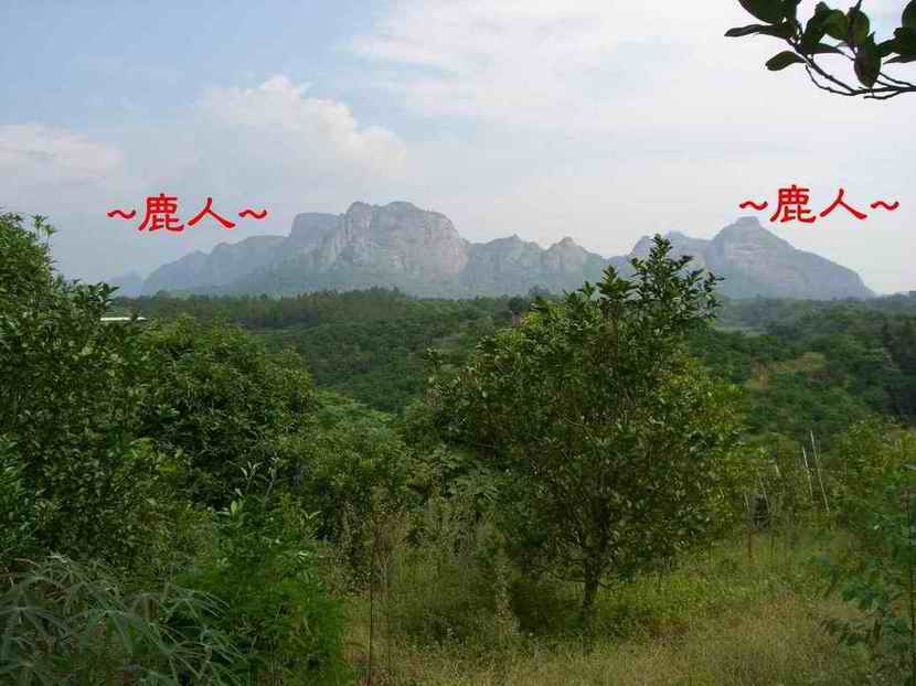 12都礄山  好美.JPG
