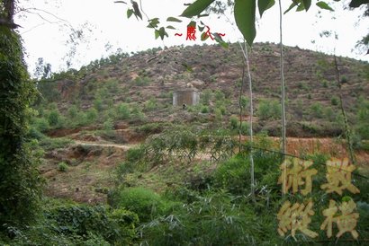 13複製 近看穴星(已嚴重龜裂與鏟挖破壞).jpg