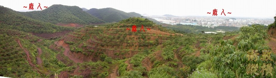 13複製 看下脈行龍與左帳全照.JPG