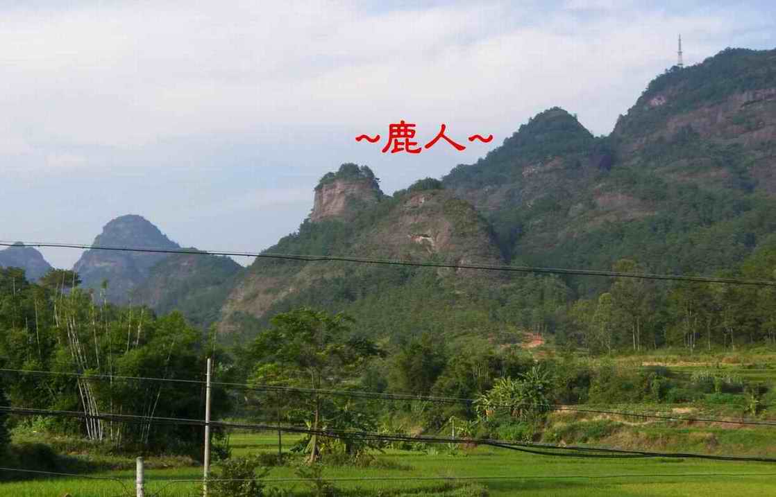 13大象欲走出石叢.JPG